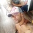 Kanabyboy