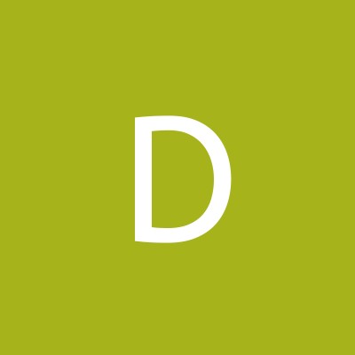Dervis